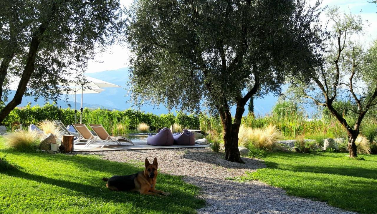 Agritur Fiore d'Ulivo Riva del Garda Exterior foto